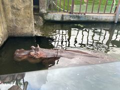 -灵玲国际马戏城