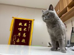 -瑞鹏宠物医院·眼科·皮肤·中兽医(大悦城分院)