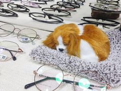 -罗伯特眼镜·蔡司官方授权(罗湖国贸店)