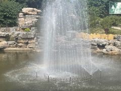 -北京西山国家森林公园