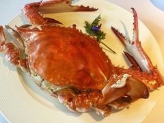 -开海·红岛海鲜虾水饺(石老人店)