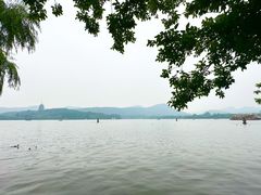 -西湖游船