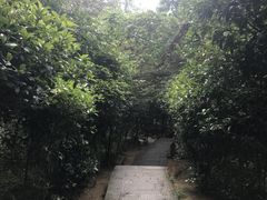 -井冈山革命烈士陵园