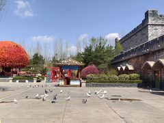 -大同方特欢乐世界