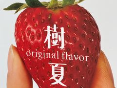-树夏(来福士店)