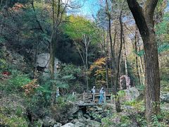 -王顺山国家森林公园