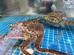 -锦里海景海鲜餐厅.三亚老字号(亚龙湾中心广场店)