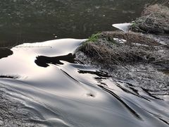 -白河湾生态旅游一条川