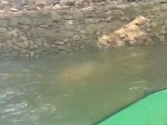 -天目湖松岭竹海漂流