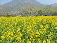 -八卦田遗址公园