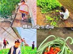 -1982农场