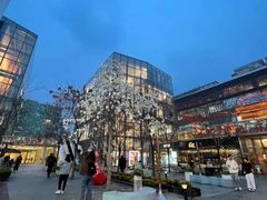 -迪桑特DESCENTE(北京三里屯BLANC店)