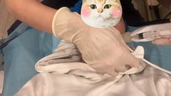 -上海时光整形外科医院