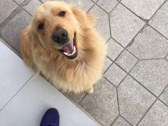 -天津美利丰广汽丰田4S店(经济开发区店)