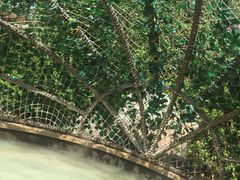 -悦隆庄温泉度假酒店