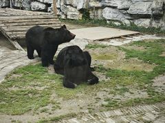 -黔灵山公园