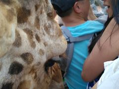 -清迈夜间动物园