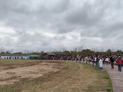 -盐城丹顶鹤湿地生态旅游区