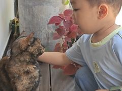 -EATALIA意塔利意式餐厅(鼓楼店)