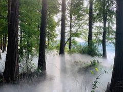 -东湖落雁景区