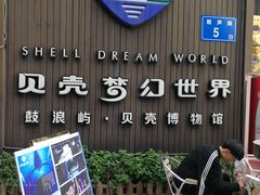 -贝壳梦幻世界