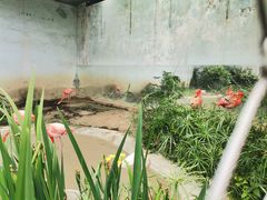-成都动物园
