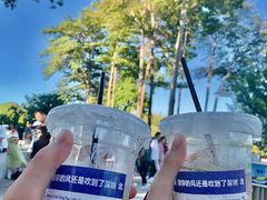 -深圳湾公园(南山区)