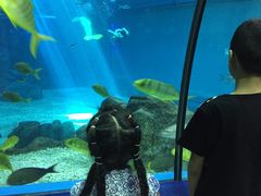 -福州罗源湾海洋世界旅游区