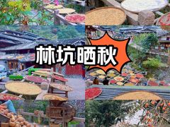 -林坑古村落