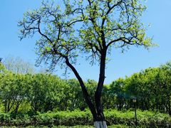 -永定河休闲森林公园