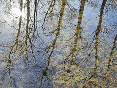 -白水寺森林公园