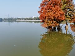 -海珠湖公园