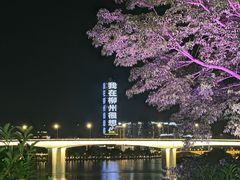 -柳侯公园