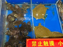 -新洪记·丽久饭店(铁西店)