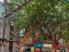 -粉八·云南米线·建水烧烤(常熟路店)