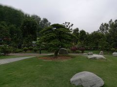 -深圳仙湖植物园