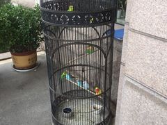 -老味道民宿(栈桥店)