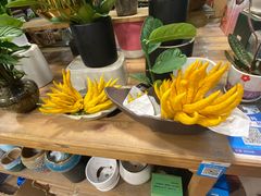-双季花艺园艺市场(浦东店)