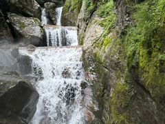 -牛背梁国家森林公园