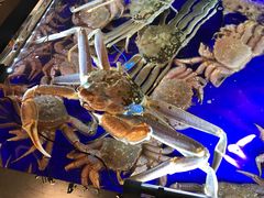 -蟹道乐(道顿堀本店)