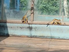 -秦皇岛野生动物园