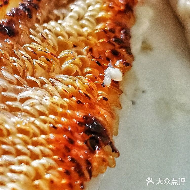 每天一個食譜 青根魚立鱗燒