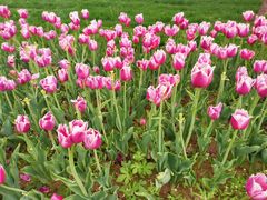 -长春公园(普阳街道)