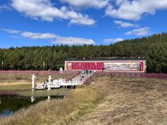 -塞罕坝国家级自然保护区