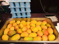 -巅峰减重高端减肥训练营(惠州店)