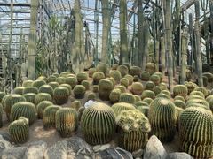 -南山植物园