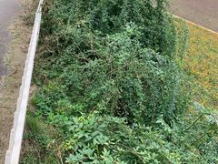 -紫颐香薰山谷景区