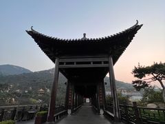 -徂徕山森林康养度假谷温泉