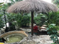 -盛泰恐龙谷温泉