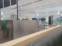 -麦当劳(北京大兴机场二层国内到达(安检外)店)